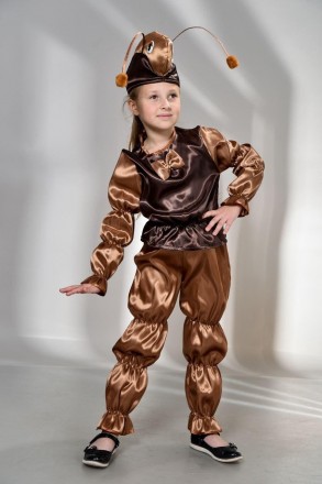 Дитячий карнавальний костюм "Мураха"
Дитячий карнавальний костюм Мураши. 
У комп. . фото 2