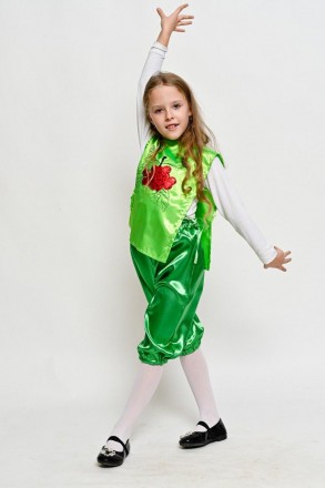 Дитячий карнавальний костюм Калина Горобина
Дитячий карнавальний костюм Калина-Р. . фото 6