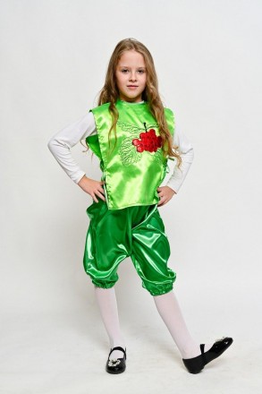 Дитячий карнавальний костюм Калина Горобина
Дитячий карнавальний костюм Калина-Р. . фото 4