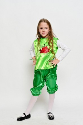 Дитячий карнавальний костюм Калина Горобина
Дитячий карнавальний костюм Калина-Р. . фото 5