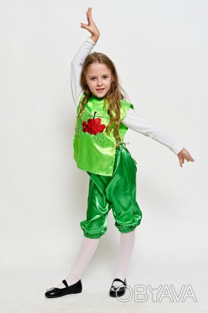 Дитячий карнавальний костюм Калина Горобина
Дитячий карнавальний костюм Калина-Р. . фото 1