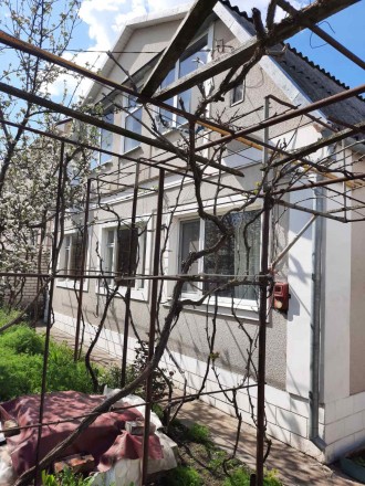 Домик в светлом. Киев. фото 1 Домик в светлом. Киев. фото 1