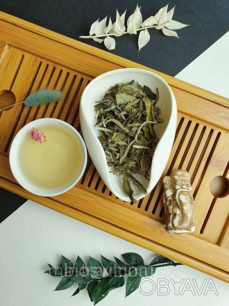 Білий чай — Бай Мудань (біла півонія)
Цей різновид китайського елітного напою ви. . фото 1