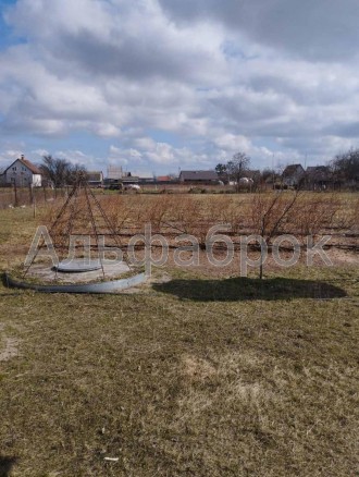 Продаем дом 200 м кв и 21 сотка земли в центре Новоселок, Вышгородский район, 19. . фото 5