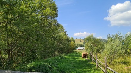 В центрі села Поляниця, біля річки, в 20-ти м від дороги розташована ділянка пло. . фото 3