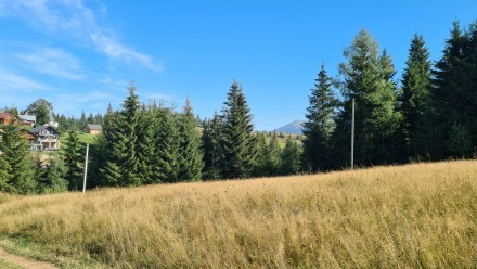 Земельна ділянка площею 0,48га в оточенні гір, розташована у с. Яблуниця на межі. . фото 4