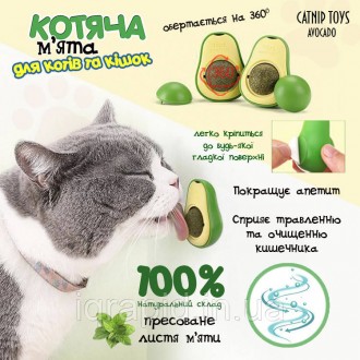 Шарик кошачьей мяты TOYS avocado
Игрушка с кошачьей мятой / Кошачья мята. Мятный. . фото 13