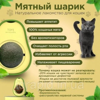 Шарик кошачьей мяты TOYS avocado
Игрушка с кошачьей мятой / Кошачья мята. Мятный. . фото 9