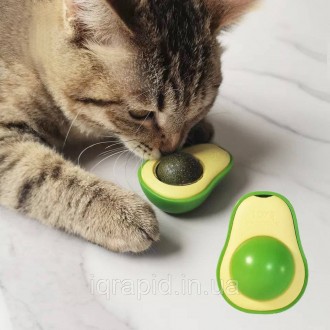 Шарик кошачьей мяты TOYS avocado
Игрушка с кошачьей мятой / Кошачья мята. Мятный. . фото 4