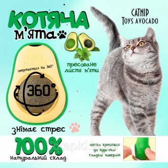 Шарик кошачьей мяты TOYS avocado
Игрушка с кошачьей мятой / Кошачья мята. Мятный. . фото 2