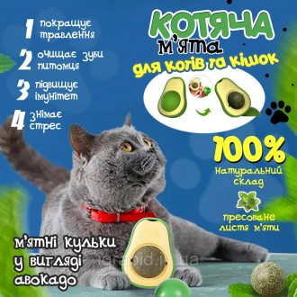 Шарик кошачьей мяты TOYS avocado
Игрушка с кошачьей мятой / Кошачья мята. Мятный. . фото 12