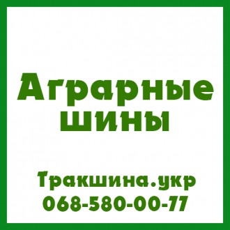 Індустріальні шини Pirelli PHP:1H (индустриальная) 800/65 R32 172A8/172B(індустр. . фото 4