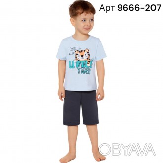 Летний домашний костюм для мальчика Baykar арт 9666-207 – это комфортная модель,. . фото 1
