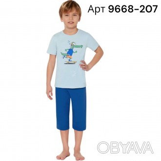 Летний домашний костюм для мальчика Baykar арт 9668-207 – это комфортная модель,. . фото 1