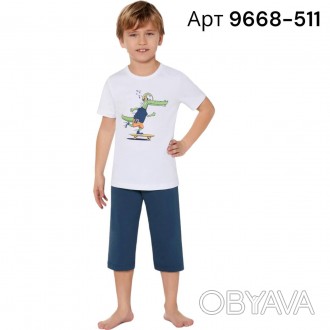 Летний домашний костюм для мальчика Baykar арт 9668-511 – это комфортная модель,. . фото 1