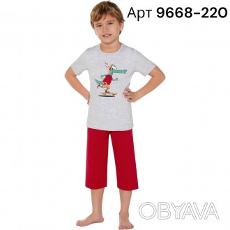 Летний домашний костюм для мальчика Baykar арт 9668-220 – это комфортная модель,. . фото 1