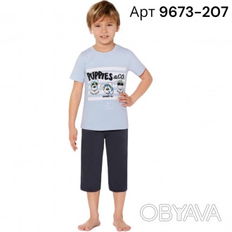 Летний домашний костюм для мальчика Baykar арт 9673-207 – это комфортная модель,. . фото 1