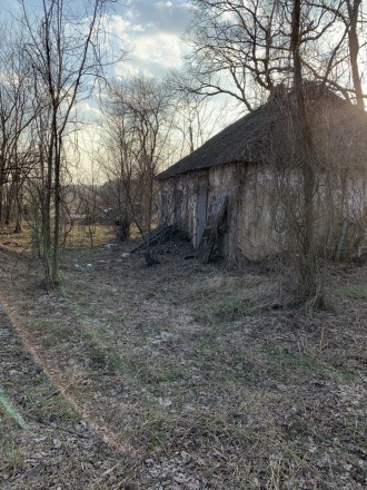 Продаж здійснюється без посередників, від власника! с. Сошників, Київска област. Київ. фото 1 Продаж здійснюється без посередників, від власника! с. Сошників, Київска област. Київ. фото 1