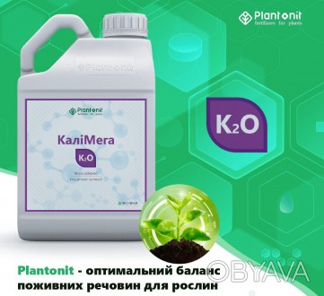 https://plantonit.ua.market/

Plantonit KaliMega – високоефективне калій. . фото 1