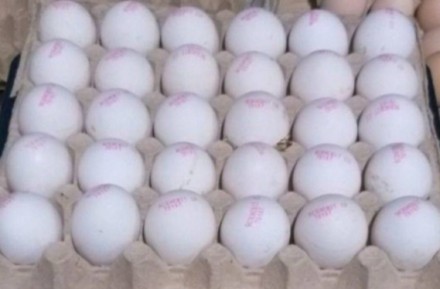 Продаєм яйце куряче в асортименті!
Ціни від 23 грн за десяток.
Є доставка!

. . фото 2