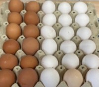 Продаєм яйце куряче в асортименті!
Ціни від 23 грн за десяток.
Є доставка!

. . фото 3