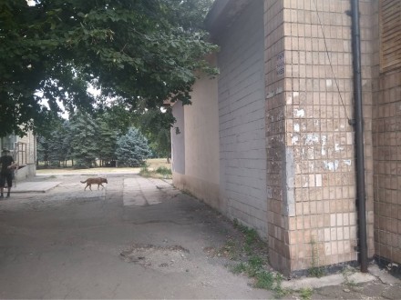 сдам в аренду подвальное помещение.под любую деятельность.от склада до производс. . фото 5