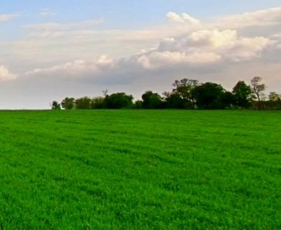 Одесса сельхоз участок 5.7 га под элеватор, зерно комплекс, склад, производство. Одеса. фото 1 Одесса сельхоз участок 5.7 га под элеватор, зерно комплекс, склад, производство. Одеса. фото 1