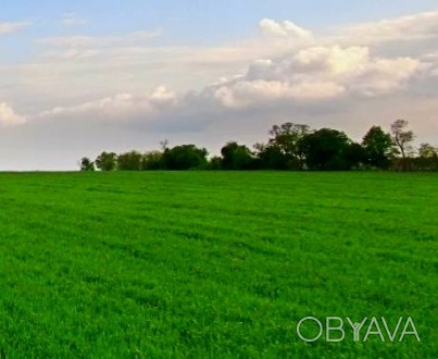 Продам земельный сельхоз участок 5,7 га в Одессе под элеватор, зерновой комплекс. . фото 1