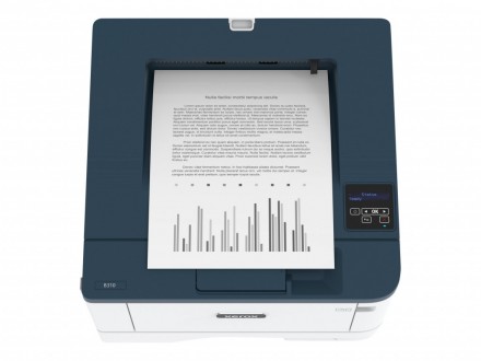  Основные Производитель Xerox Тип Принтер Технология печати Лазерная Тип цветопе. . фото 6