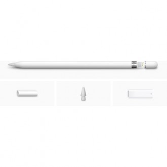 Apple Pencil расширяет возможности iPad и открывает новые горизонты для творчест. . фото 6