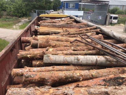 продам дрова 2м береза сосна 800грн м3. Миколаїв. фото 1 продам дрова 2м береза сосна 800грн м3. Миколаїв. фото 1