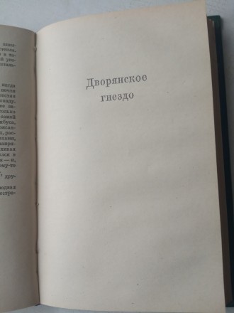 «Рудин» - роман о дворянских интеллигентах 30-х годов 19 века России. . фото 6