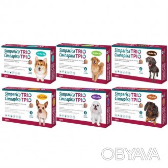 Simparica TRIO (Симпарика ТРИО) таблетки от блох, клещей и гельминтов для собак