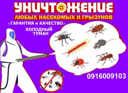 Уничтожение тараканов,клопов,блох,крыс,мышей.. Дніпро. фото 1 Уничтожение тараканов,клопов,блох,крыс,мышей.. Дніпро. фото 1