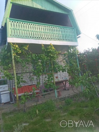 продаю дачу сады 4 за коренихой  участок 4сотки фруктовые деревья виноград бак д. Заводской. фото 1