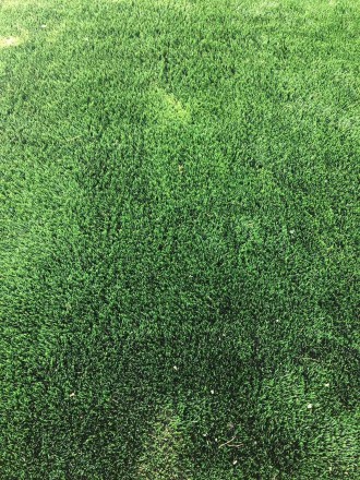 Приобрести Искусственная трава для футбола Tishan 50 Вы можете у нас в интернет . . фото 5