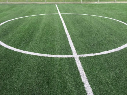 Приобрести Искусственная трава для футбола Tishan 50 Вы можете у нас в интернет . . фото 3