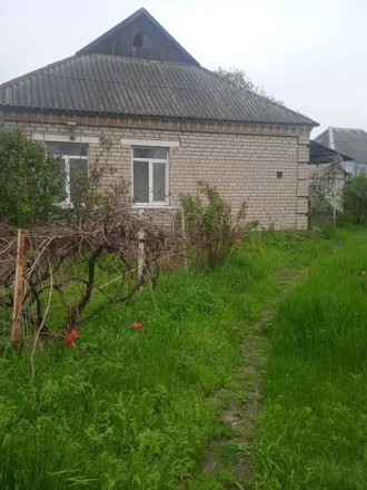 Продам дом в Таромском - район 105 школы. Харків. фото 1 Продам дом в Таромском - район 105 школы. Харків. фото 1