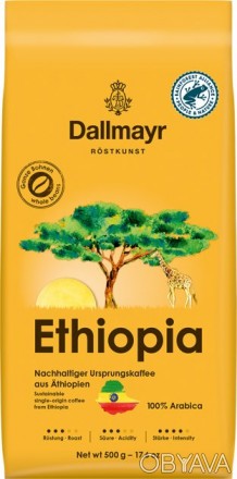 Ефіопія-прекрасна країна, розташована в Африці. Вона багата сонячним теплом, гір. . фото 1