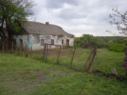 Продам участок правильной формы 0,161 га в центре села Ониськово, Одесского райо. . фото 3