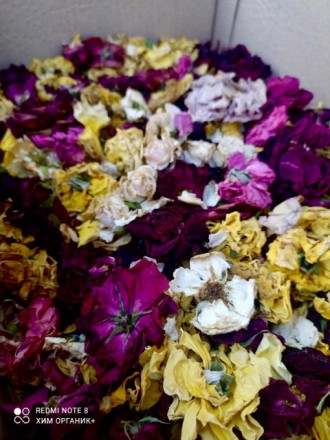 Сухие цветки роз микс ( имеет разновидность сухих цветков роз на 100 граммах мно. . фото 3