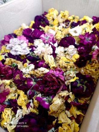 Сухие цветки роз микс ( имеет разновидность сухих цветков роз на 100 граммах мно. . фото 2