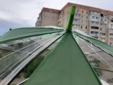 Полупрозрачный Детский зонтик (зеленый)

Диаметр 83 см
Длина 61,3 см. . фото 4