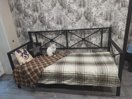 
Тарс (кровать-диван металлический LOFT) от ТМ Тенеро
Широкий, удобный, просторн. . фото 3