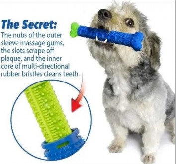 Зубна щітка для собак, що самоочищається Сhewbrush, масажна щітка для ясен собак. . фото 2