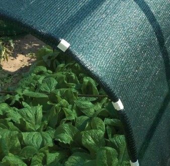 Щоб уберегти Ваш урожай і примножити його пропонуємо затінювальну сітку ТМ «Shad. . фото 4