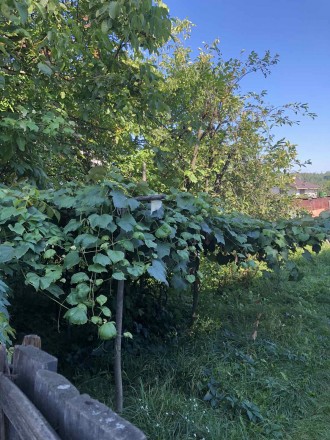 Будинок з земельною ділянкою з виходом до озера у мальовничому селі Мостище, Мак. . фото 6