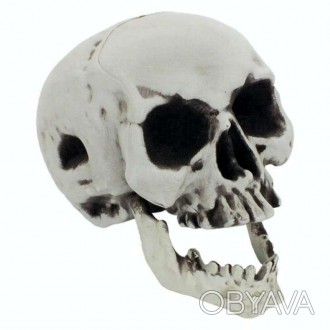  Череп Йорик з рухливою щелепою 19-147GY Оригінальна фігурка черепа з рухомою ще. . фото 1