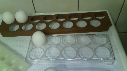 Продам  лотки для  яиц  в  отличном  состоянии.Цена за  1 шт.перешлю  новой  поч. . фото 3