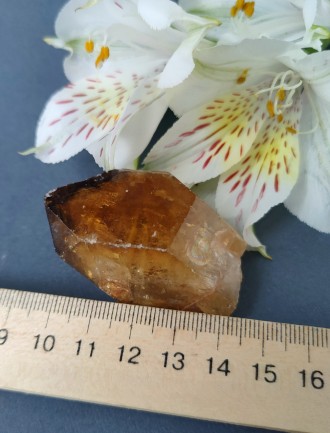 
Пропонуємо Вам натуральний камінь цитрин .
Розмір : 50*34*23 мм.
 
Мінералу при. . фото 4